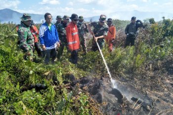 Terbakar, 20 hektare lahan gambut di Kolaka Timur