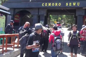 Jumlah pendaki Gunung  Lawu meningkat pada malam "Suro"