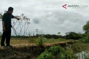 VIDEO: FPDIP harapkan BBWSSO normalisasi Sungai Papah
