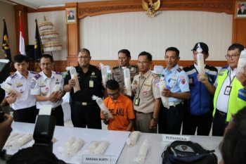 Petugas Bea dan Cukai gagalkan penyelundupan ribuan "baby lobster"