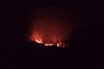 Karhutlah di Flores Timur menyebar di tiga lokasi