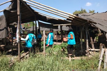 DLH Kota Makassar rekomendasikan larangan peternakan babi