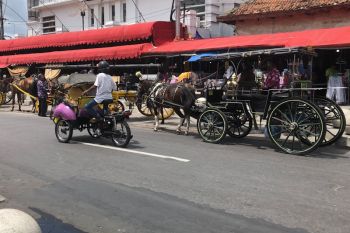 Yogyakarta menyiapkan revisi peraturan daerah tentang moda transportasi