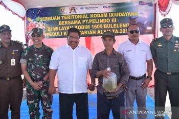 Bupati-Dandim Buleleng lakukan penanaman terumbu karang
