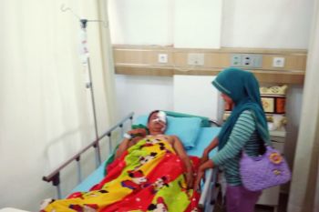 Warga Kampar babak belur diserang beruang