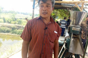 Berkat buat pakan pelet sendiri produksi ikan naik
