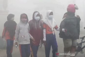 Kualitas udara Sampit kategori berbahaya