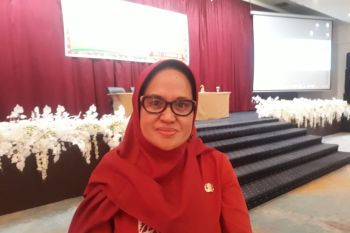 DP3A Palu : butuh peran optimal OPD untuk penuhi hak anak