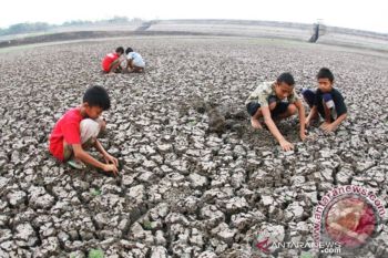 Pemerintah Provinsi NTT siapkan benih bantu petani gagal panen