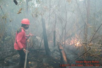 70 hektare kawasan Tahura habis terbakar