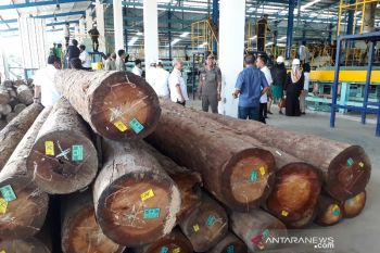 Sekda peringatkan perusahaan di Kalteng untuk jaga hubungan industrial