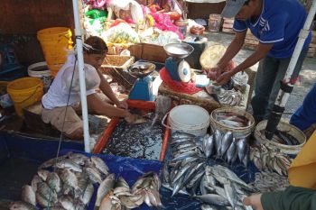 Wagub Lampung Nunik ajak masyarakat untuk gemar makan ikan