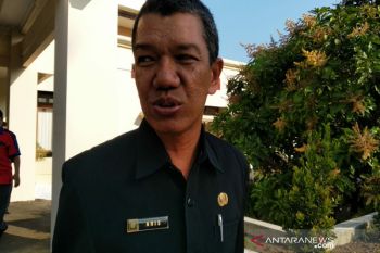 Kulon Progo kembangkan tanaman kelengkeng