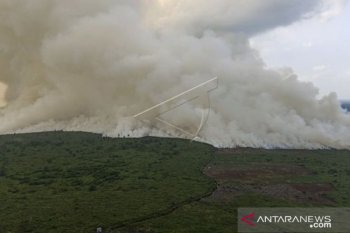 Lahan terbakar di Sumsel  capai 2.000 hektare