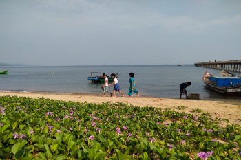 Mahasiswa Untan bantu promosi wisata Temajuk melalui media sosial