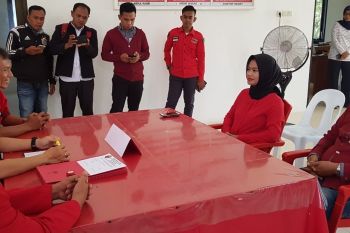 Laura survei calon wakil bupati