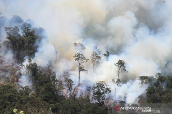 Satgas Karhutla  Sumsel terus pantau dan padamkan kebakaran