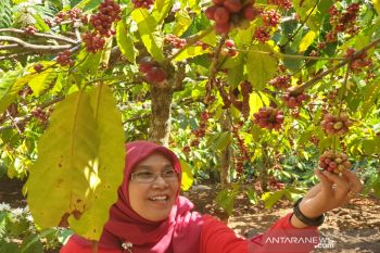 Kemenparekraf diminta kembangkan potensi desa wisata