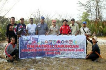 Bupati Seruyan pantau titik api di kawasan TNTP
