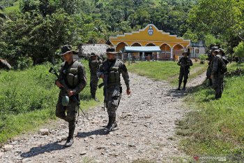 Presiden Guatemala musnahkan 1,5 juta tanaman kokain