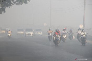 Walhi minta restorasi gambut dievaluasi menyusul karhutla masih terus berlanjut