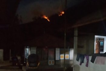 Terbakar, hutan di lereng Gunung Agung