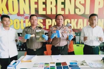 Curi uang Rp1,7 miliar, ibu rumah tangga diringkus polisi