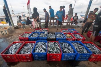 Pelabuhan pendaratan ikan yang higienis