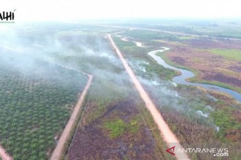 KLHK: Kebakaran hutan berkaitan dengan pembukaan perkebunan