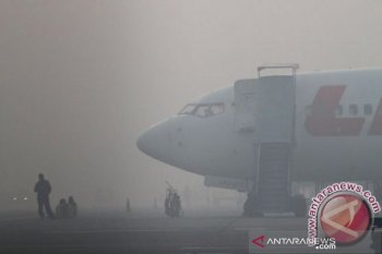 Penerbangan di Palangka Raya hampir lumpuh akibat kabut asap