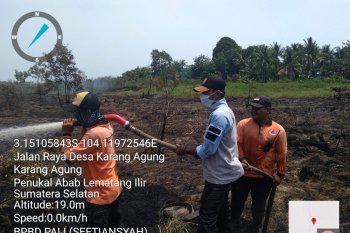 Satgas karhutla  terus maksimalkan patroli