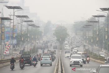 Dampak Karhutla Di Kalsel