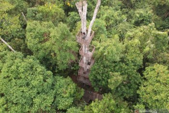 Forestry partnerships in Jambi help small farmers, resolve conflicts