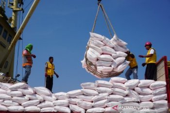 Bongkar muat pelabuhan Pantoloan