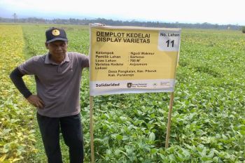 Bernilai jual tinggi, petani didorong kembangkan hortikultura