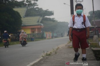 BMKG: Kabut asap di Kaltara mulai berkurang