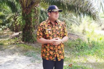 Pemkab Kobar fokuskan peningkatan lintas poros utara Pangkalan Banteng