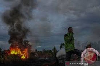 Selama 2019, Dinas kebakaran Baubau catat 30 kasus