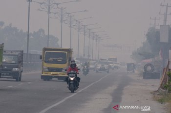 Karhutla Riau - Asap kebakaran lahan Rimbo Panjang selimuti jalan Pekanbaru-Padang