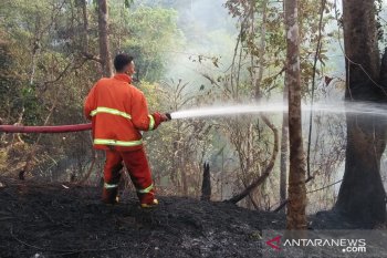 Dinas Damkar Rejang Lebong tangani 22 kasus Karhutla