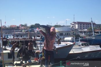 Cuaca buruk sebabkan harga ikan di Kupang meroket