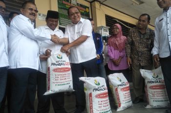 Petrokimia Gresik bina petani Padang Pariaman tingkatkan produktivitas kakao