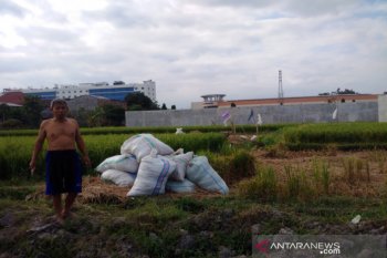 Pemkab Sleman merehabilitasi irigasi dongkrak produksi pertanian