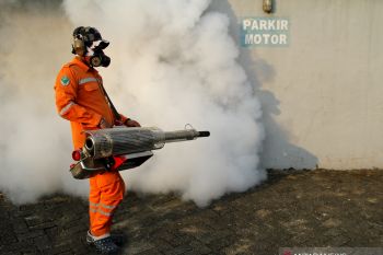 Dinkes Agam turunkan tim pastikan balita meninggal akibat DBD