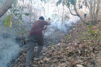 Karhutlah di Ile Mandiri sudah reda