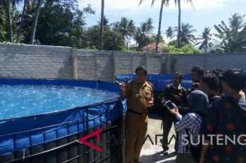 Potensi lahan tambak udang di Parigi Moutong seluas 10.000 hektare