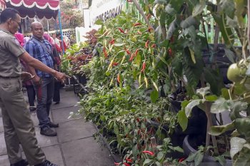 Pemkot Yogyakarta menyusun basis data ketahanan pangan