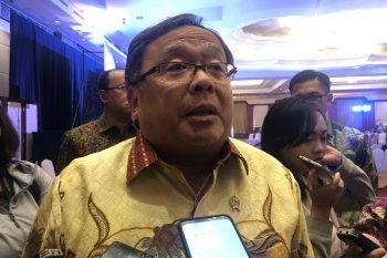 Konsesi lahan Sukanto Tanoto dicabut untuk ibu kota baru