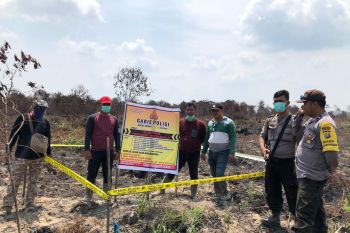Karhutla Riau - Polisi tangkap kakek terduga pembakar lahan di Inhil