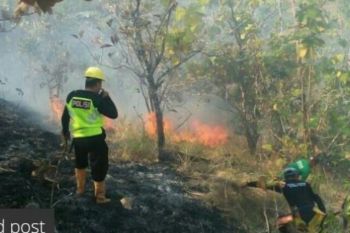Kebakaran hanguskan dua hektare lahan warga Kabupaten Majene